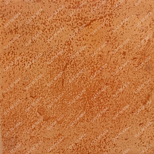 Tan Brown Screen Printed Tile ST1016